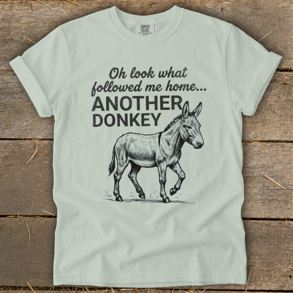 Light green t-shirt with text "Oh look what followed me home... ANOTHER DONKEY" and a donkey illustration.