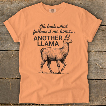 Orange t-shirt with black graphic of a llama and text "Oh look what followed me home... ANOTHER LLAMA".