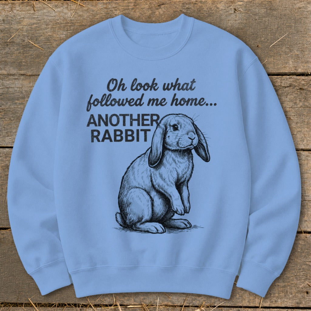 Light blue sweatshirt with a sketch of a rabbit and text "Oh look what followed me home... ANOTHER RABBIT".