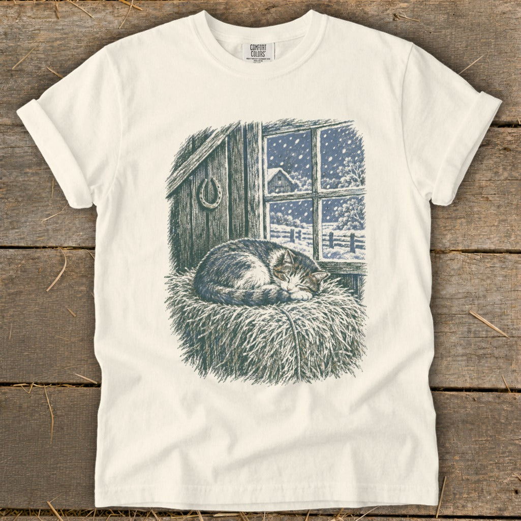 Cat sleeping on hay in a barn with a snowy window view.