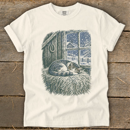 Cat sleeping on hay in a barn with a snowy window view.