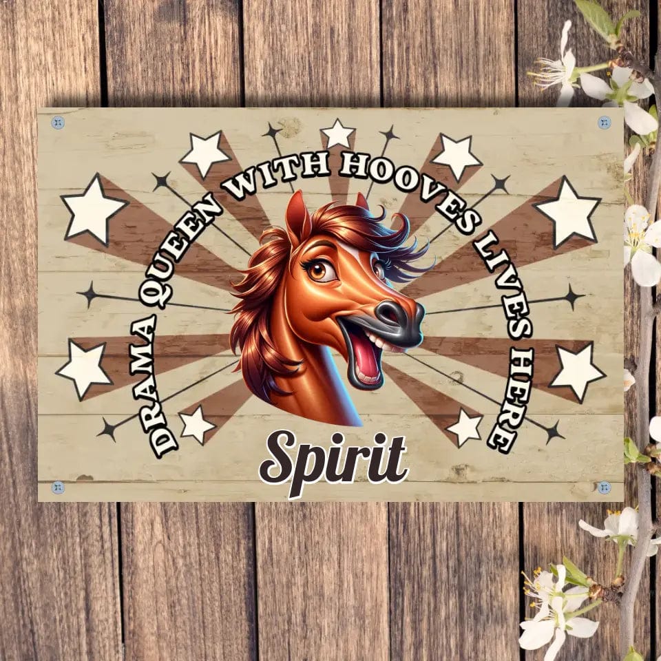 Custom Design 4 hole aluminum signage Horizontal / n/a / 8in x 12in Personalized Drama Queen - Stall Sign