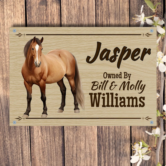Custom Design 4 hole aluminum signage Horizontal / n/a / 8in x 12in Personalized Horse with Owner - Stall Sign