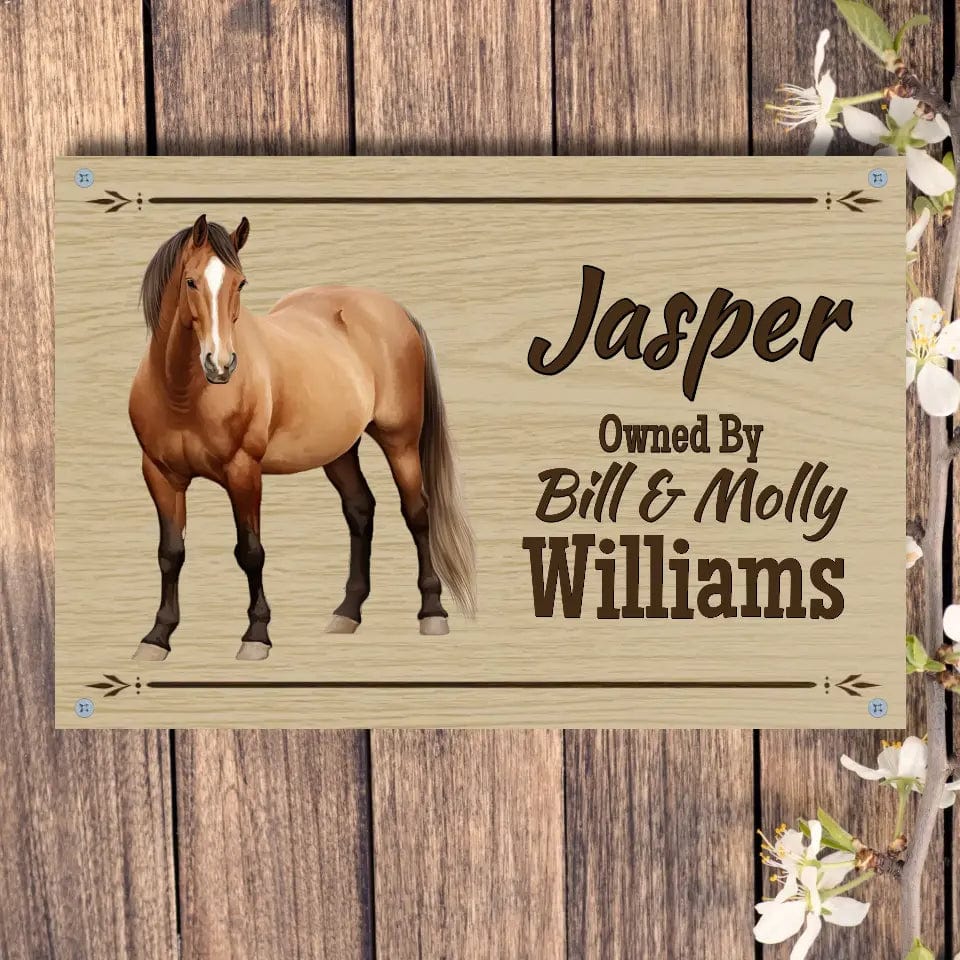 Custom Design 4 hole aluminum signage Horizontal / n/a / 8in x 12in Personalized Horse with Owner - Stall Sign