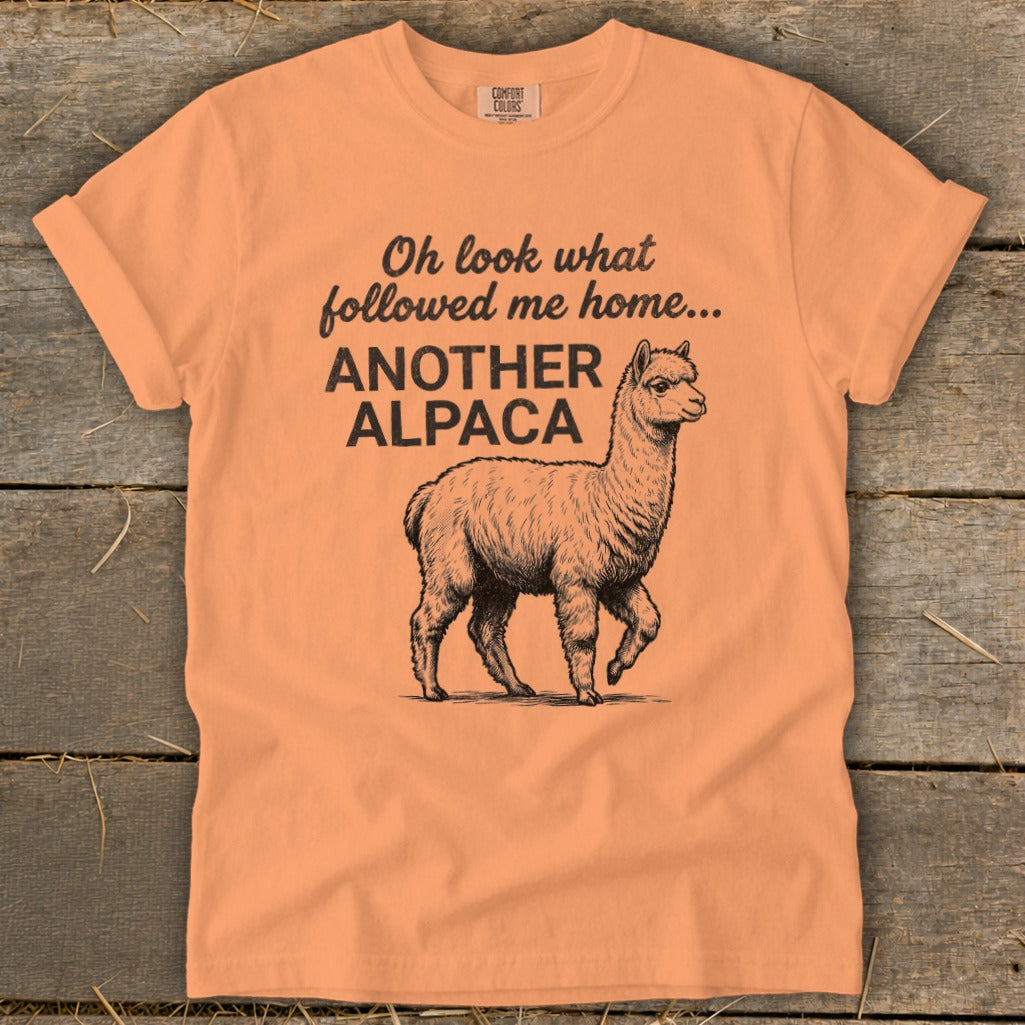 Orange t-shirt with "Oh look what followed me home... ANOTHER ALPACA" and an alpaca drawing.
