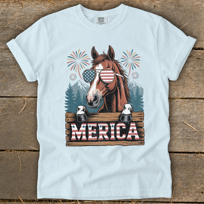 Horse wearing American flag sunglasses and "MERICA" sign with fireworks background.