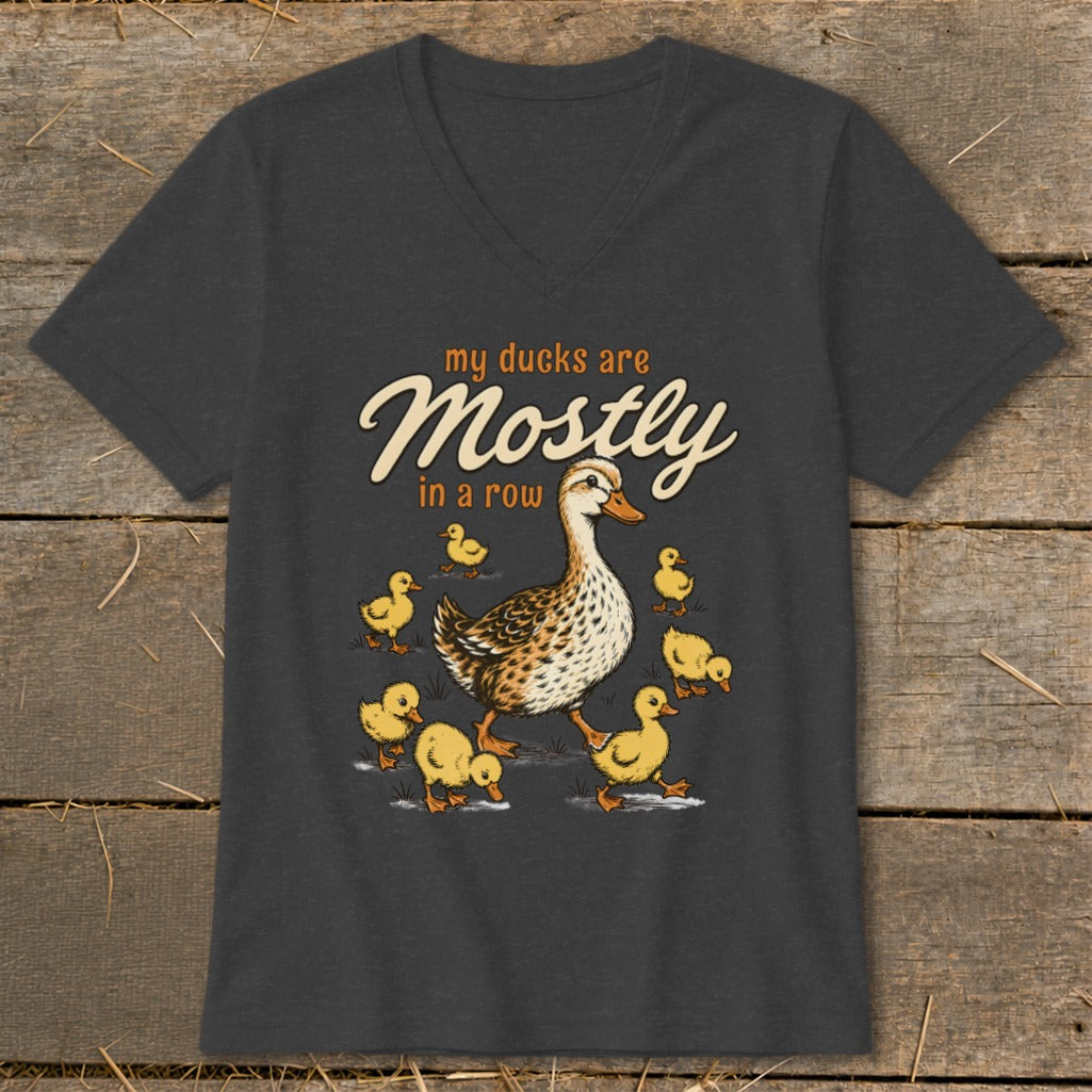 A mother duck and ducklings walk with text "my ducks are Mostly in a row".