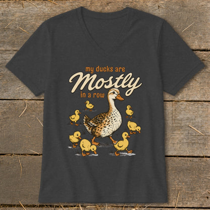 A mother duck and ducklings walk with text "my ducks are Mostly in a row".