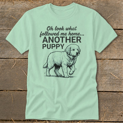 Light green t-shirt with sketch of puppy and text "Oh look what followed me home... ANOTHER PUPPY".