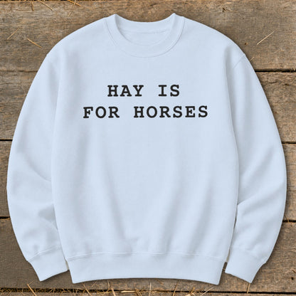 Light blue sweatshirt with black text "HAY IS FOR HORSES".