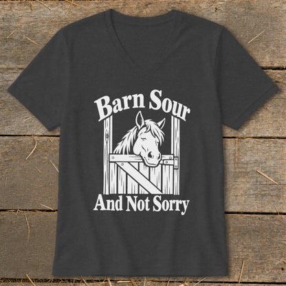 Barn Sour V-neck