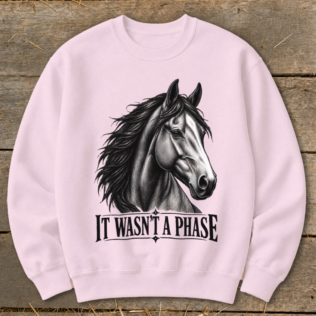 Pink sweatshirt with a black and white sketch of a horse and the text "IT WASN'T A PHASE".