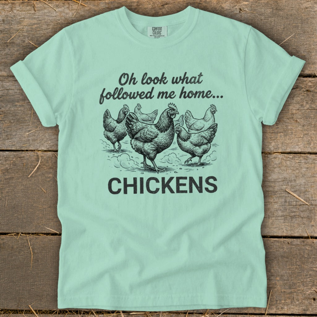 Mint green t-shirt with drawing of five chickens and text "Oh look what followed me home... CHICKENS".