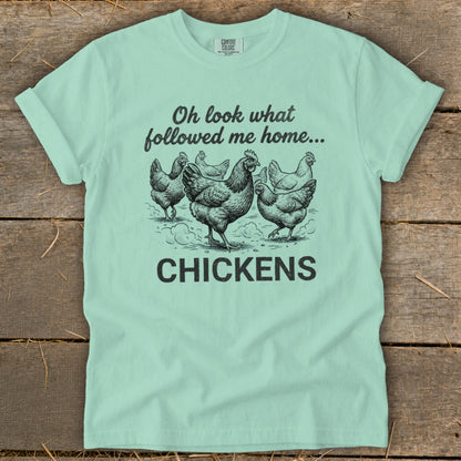 Mint green t-shirt with drawing of five chickens and text "Oh look what followed me home... CHICKENS".
