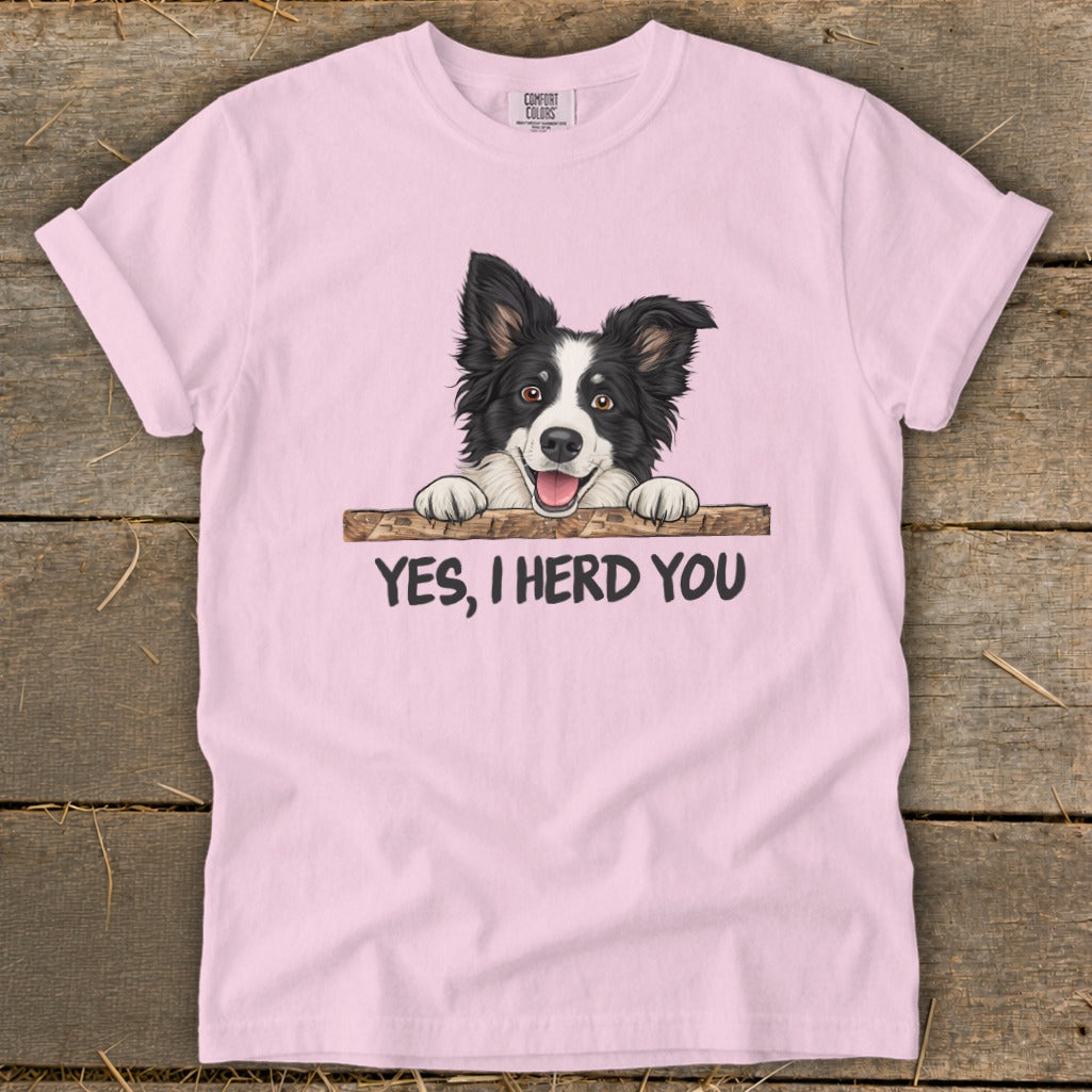 Pink t-shirt with border collie artwork and text "YES, I HERD YOU."