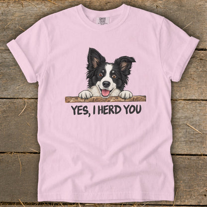 Pink t-shirt with border collie artwork and text "YES, I HERD YOU."