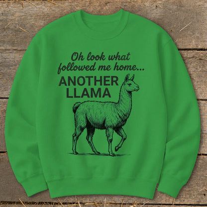 Green sweatshirt with black text and llama graphic: "Oh look what followed me home... ANOTHER LLAMA"