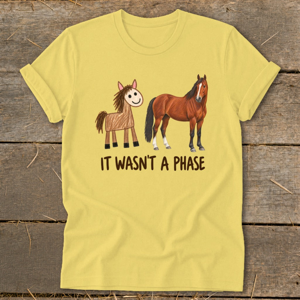 It Wasn't a Phase Drawing Softstyle Tee