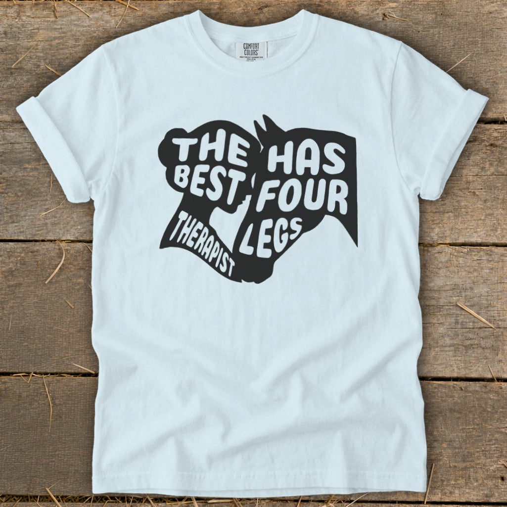 Light blue t-shirt with "The best therapist has four legs" horse graphic.