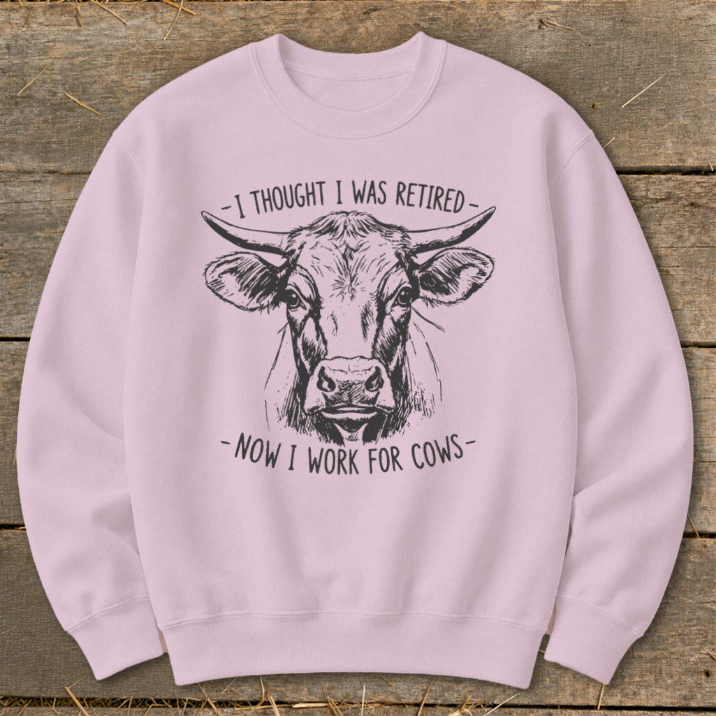 Pink sweatshirt with line drawing of cow and text: "I thought I was retired - Now I work for cows"