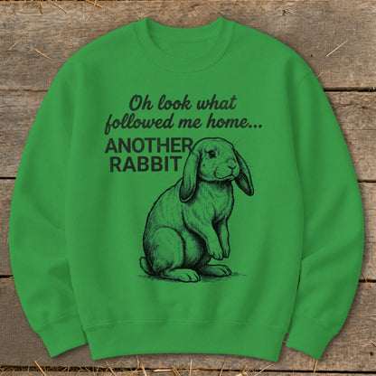 Green sweatshirt with a sketched rabbit and text "Oh look what followed me home... ANOTHER RABBIT".