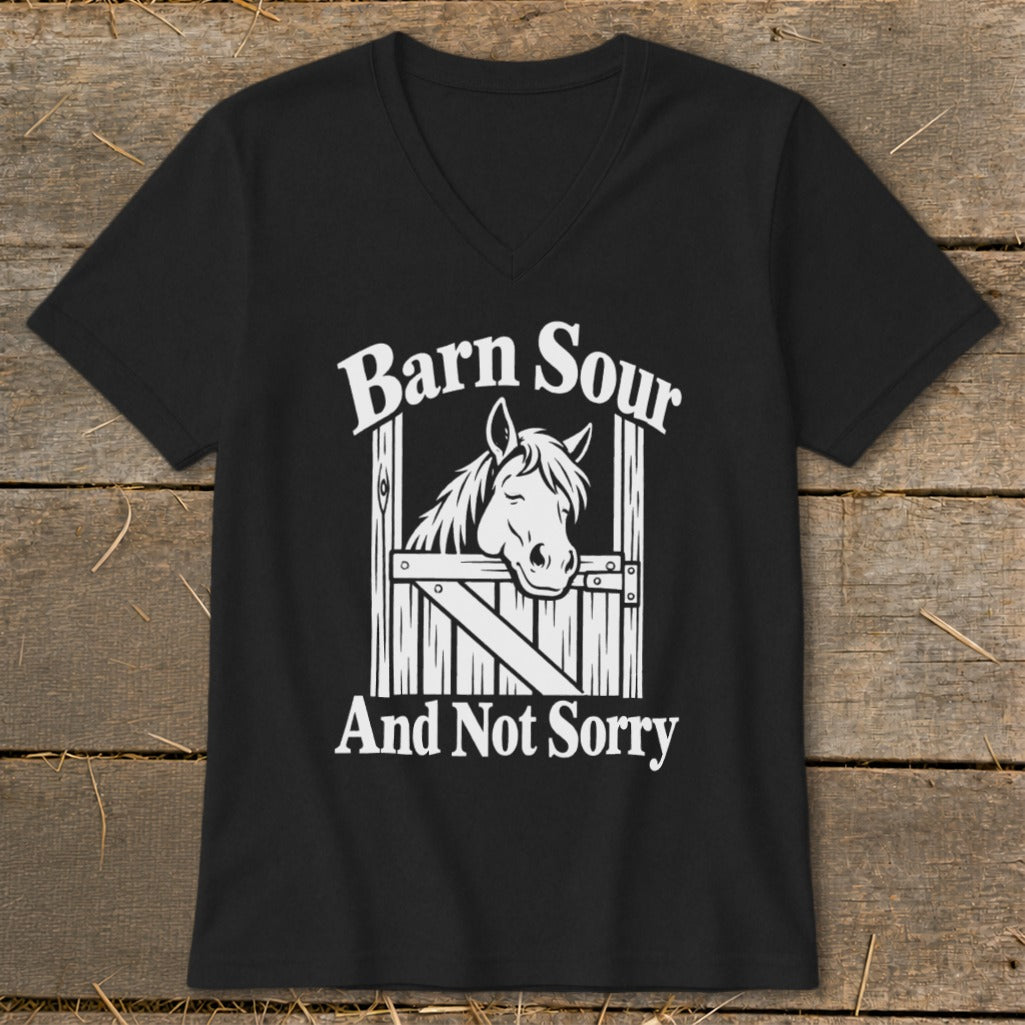 Barn Sour V-neck