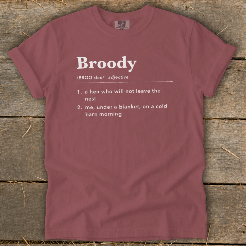 Broody definition: a hen not leaving the nest; me under a blanket.