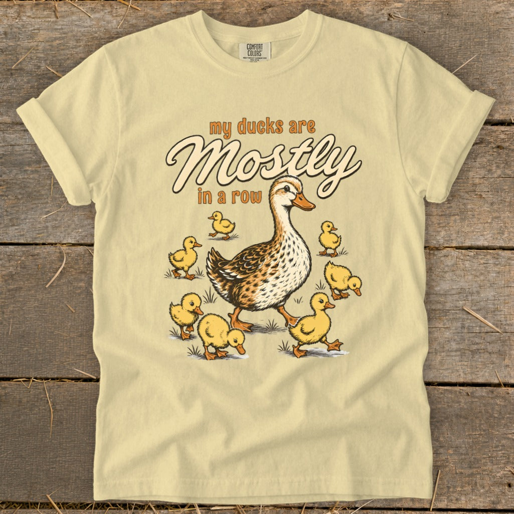 T-shirt graphic of a mother duck with ducklings and text "my ducks are Mostly in a row".