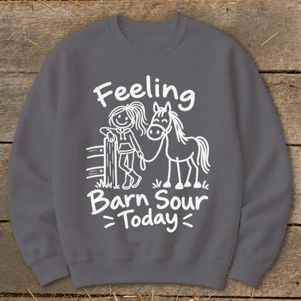 Gray sweatshirt with white text and drawing of girl with horse.