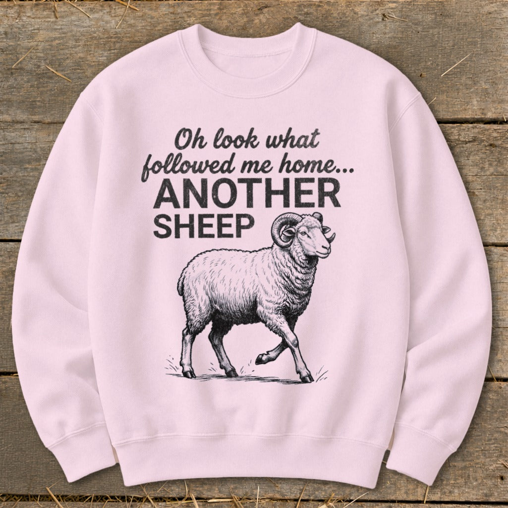 Pink sweatshirt with text "Oh look what followed me home... ANOTHER SHEEP" and sheep graphic.