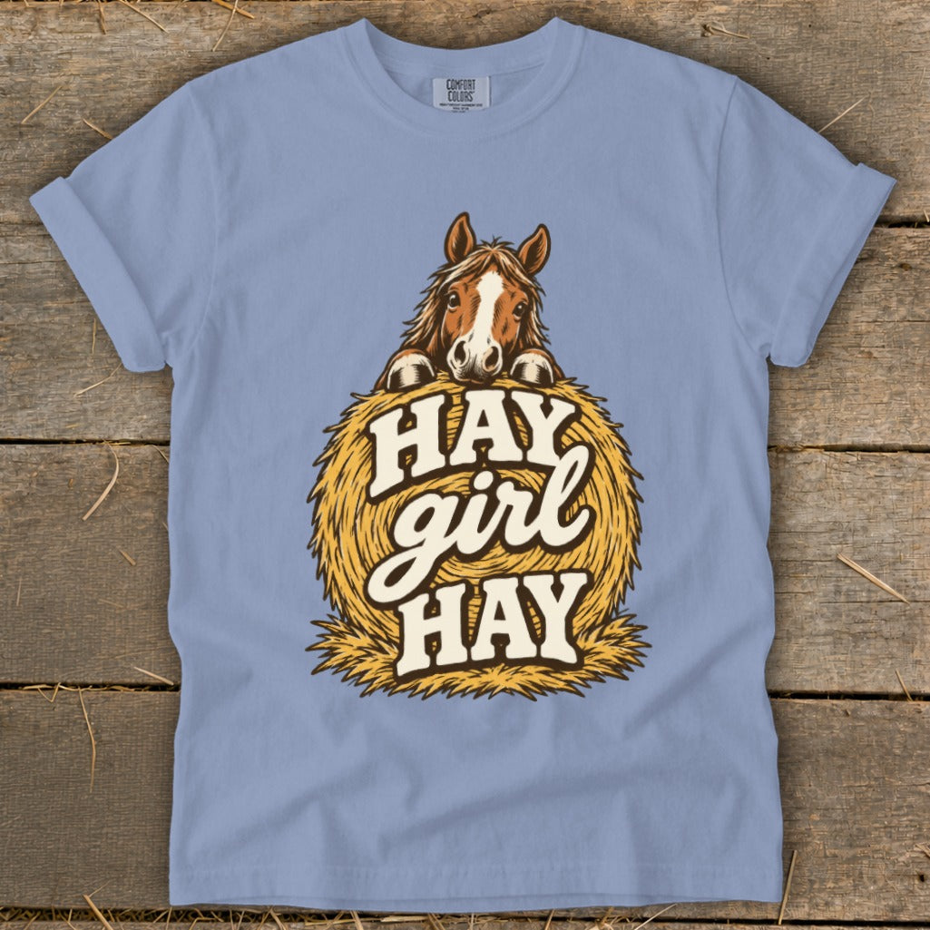 Light blue t-shirt with horse and hay graphic saying "Hay girl HAY".