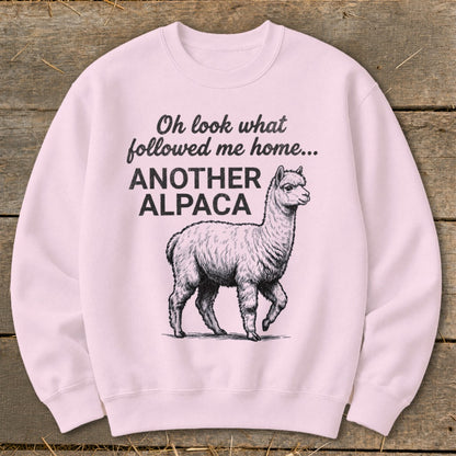 Light pink sweatshirt with black text and alpaca graphic: "Oh look what followed me home... ANOTHER ALPACA".
