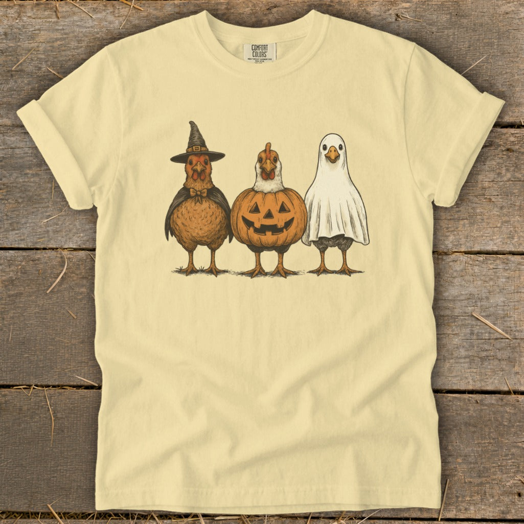 Three chickens dressed for Halloween: a witch, a pumpkin, and a ghost.