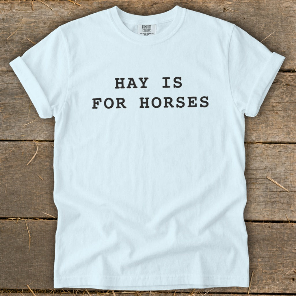 Light blue t-shirt with "HAY IS FOR HORSES" text.