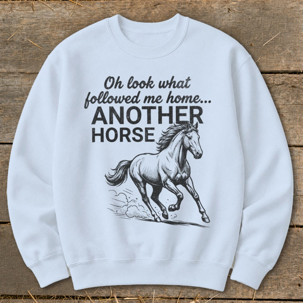 Light blue sweatshirt with black text "Oh look what followed me home... ANOTHER HORSE" and horse graphic.