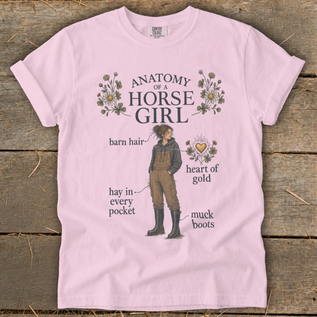 Pink t-shirt with "Anatomy of a Horse Girl" illustration and text.