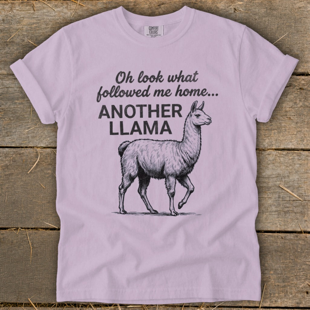 Light purple t-shirt with text "Oh look what followed me home... ANOTHER LLAMA" and llama graphic.