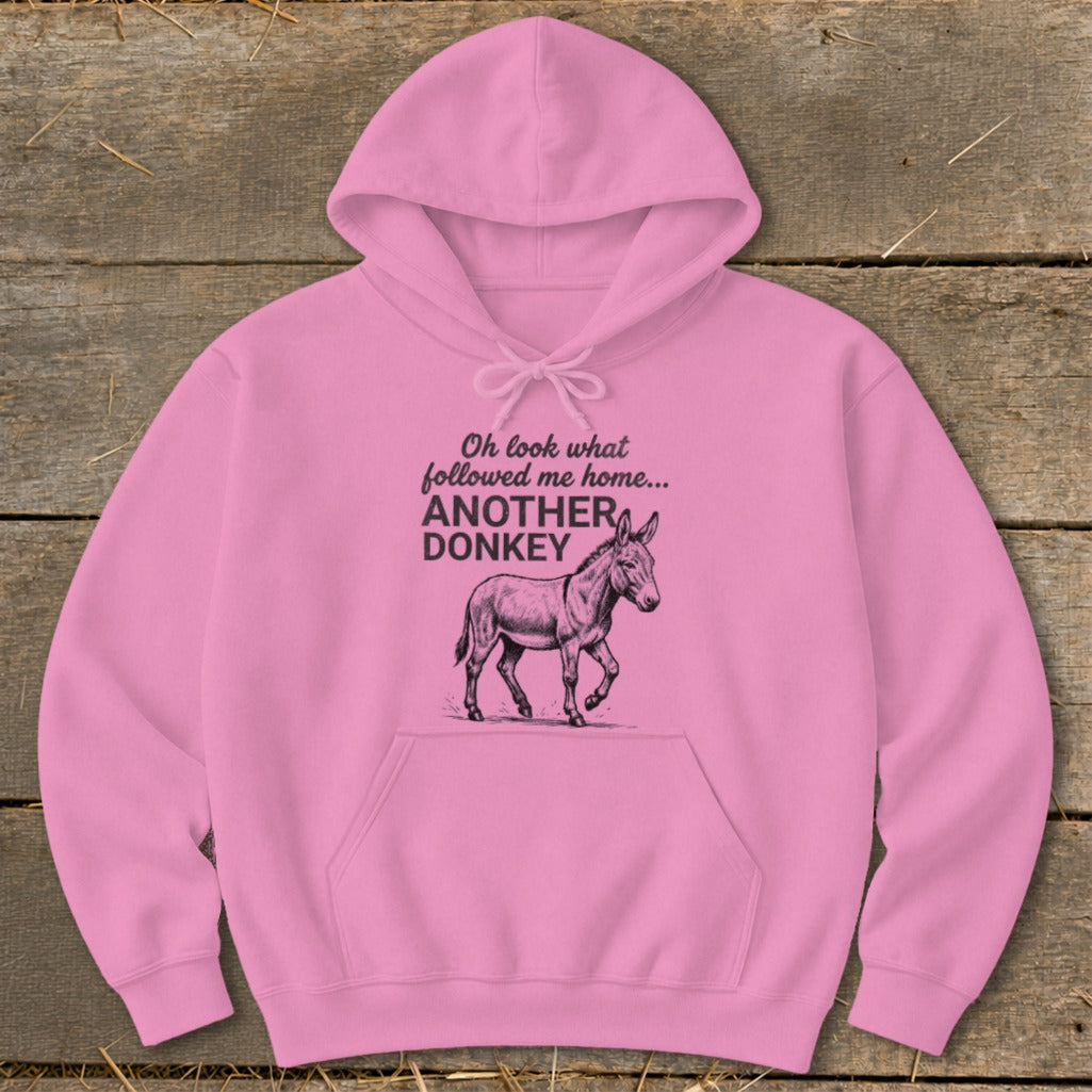 Pink hoodie with text "Oh look what followed me home... ANOTHER DONKEY" and a donkey illustration.