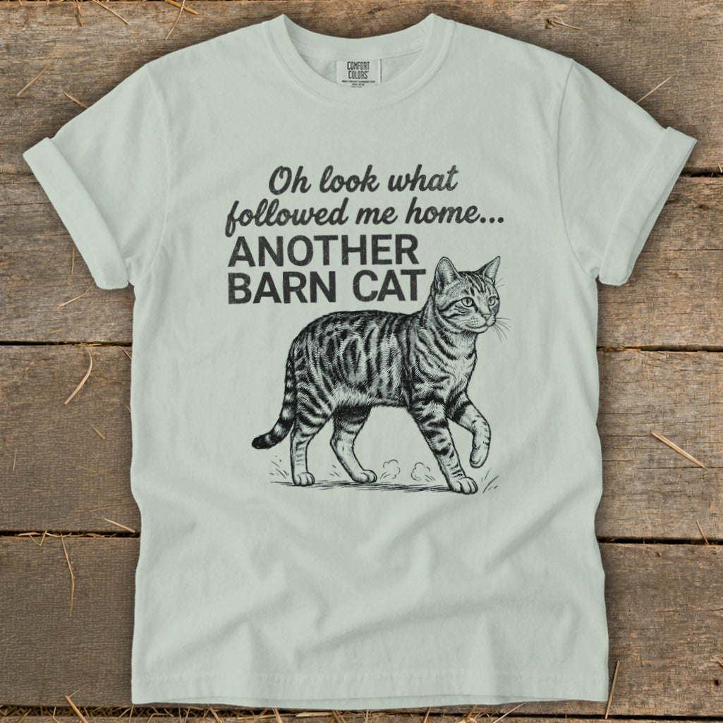 Light blue t-shirt with text and illustration of a tabby cat.
