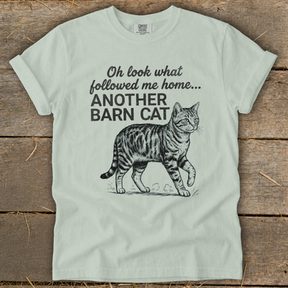 Light blue t-shirt with text and illustration of a tabby cat.