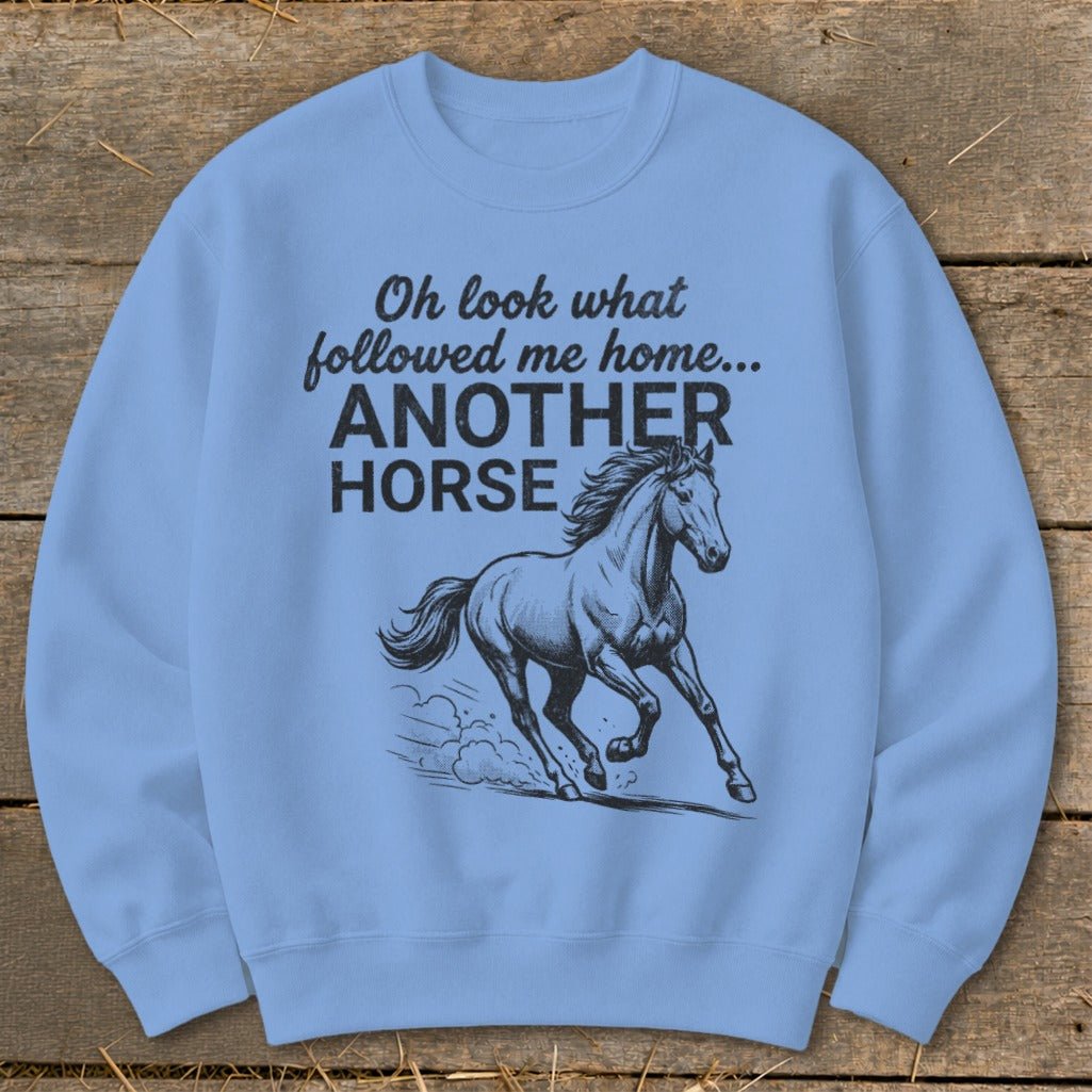 Light blue sweatshirt with text "Oh look what followed me home... ANOTHER HORSE" and a horse graphic.