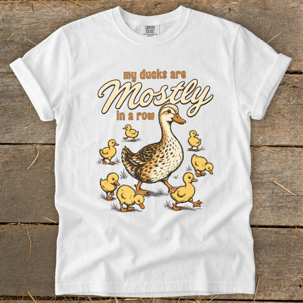 White t-shirt with illustration of a mother duck and ducklings with text "my ducks are Mostly in a row".