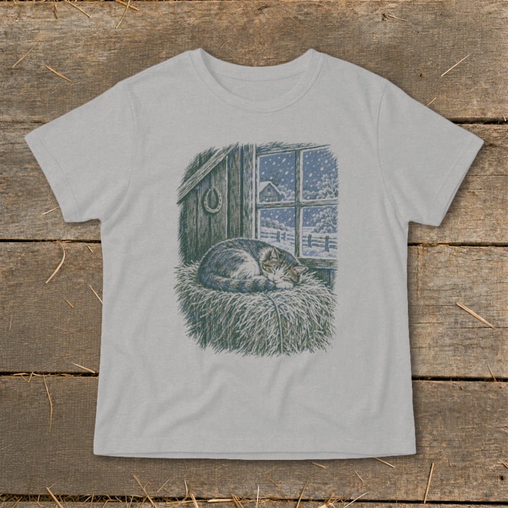 Cat sleeping in hay by snowy window with barn and horseshoe detail.