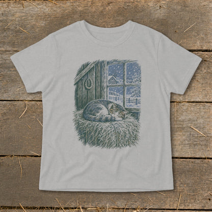 Cat sleeping in hay by snowy window with barn and horseshoe detail.