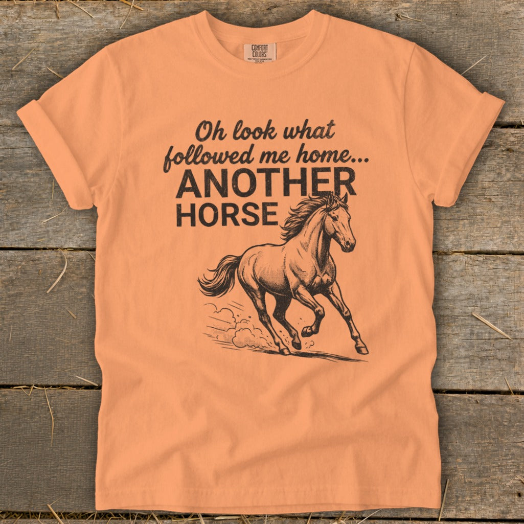 Peach t-shirt with text "Oh look what followed me home... ANOTHER HORSE" and a running horse graphic.