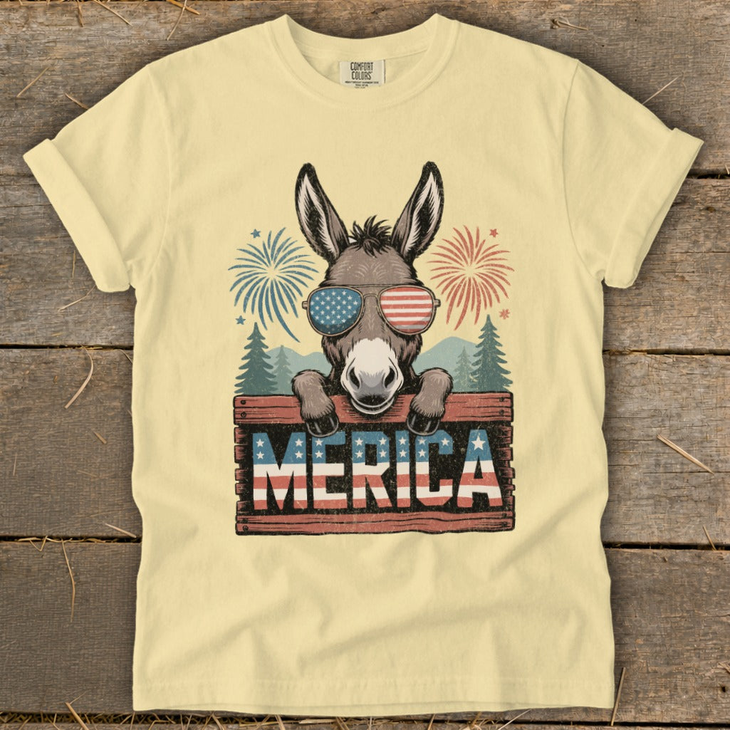 Donkey wearing American flag sunglasses holds "MERICA" sign with fireworks.