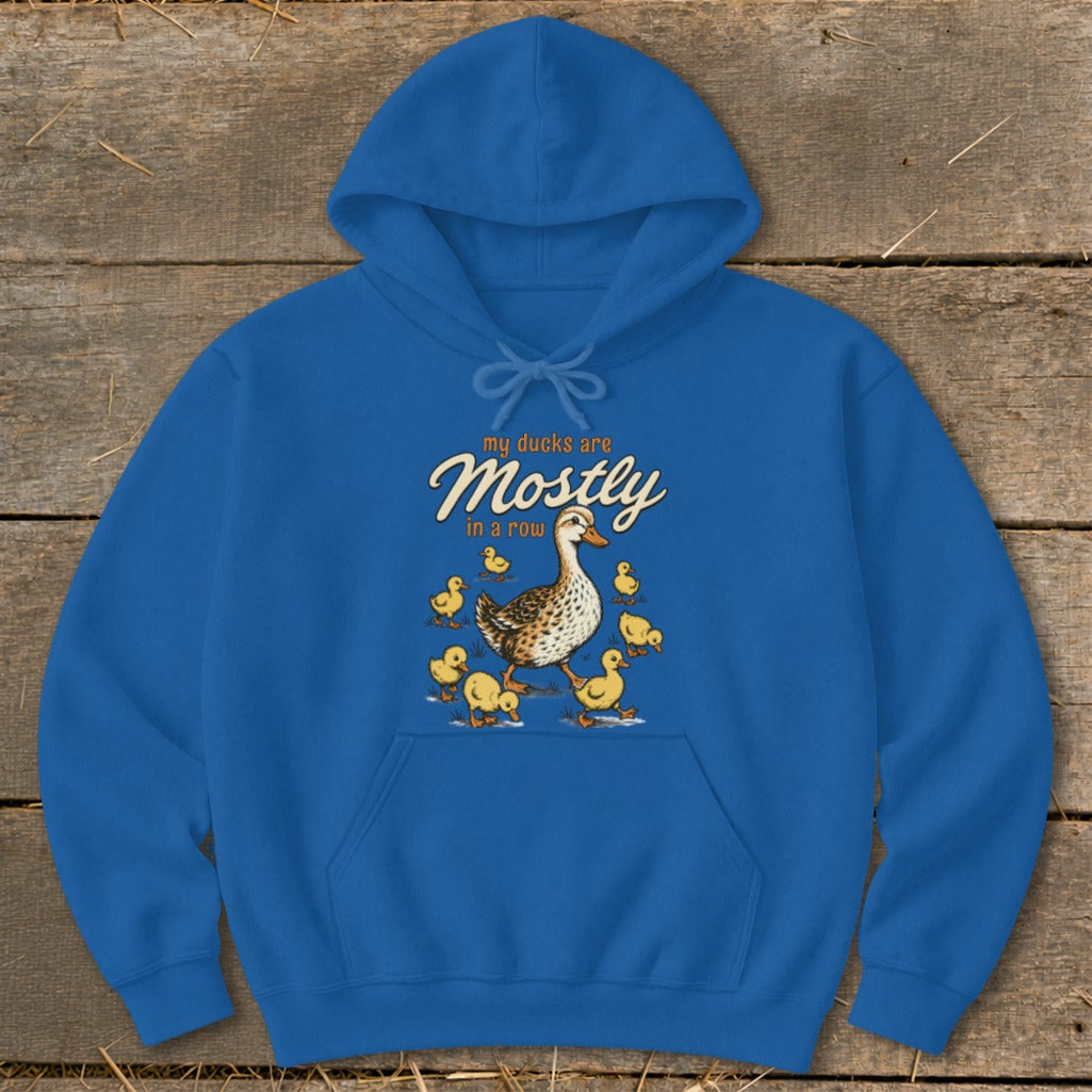 Blue hoodie with a mother duck and ducklings illustration and text.