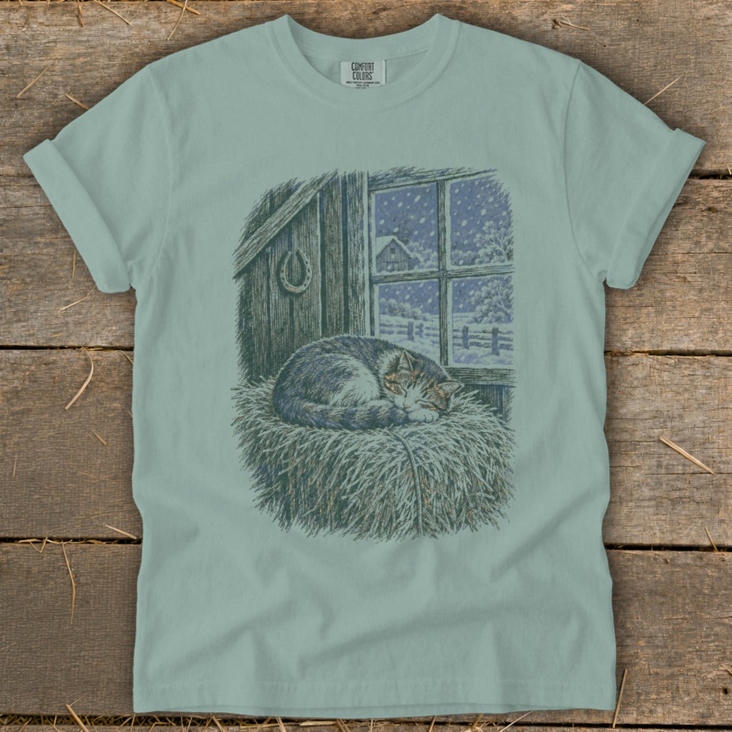 Tabby cat sleeping on hay in a barn with a snowy window view.