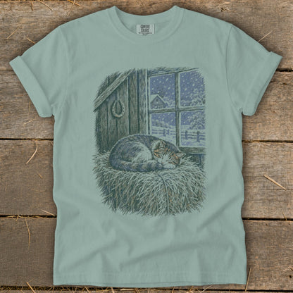 Tabby cat sleeping on hay in a barn with a snowy window view.
