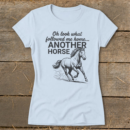 Light blue t-shirt with text "Oh look what followed me home... ANOTHER HORSE" and horse graphic.